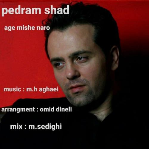 پدرام شاد اگه میشه نرو